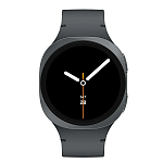 Часы Samsung Galaxy Watch 8 44mm Graphite 250_100_496180